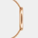 Golden Ellipse Rosegold Stainless Steel