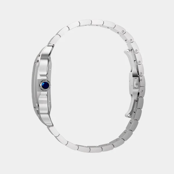 Santos de Cartier Gray Dial Choronograph